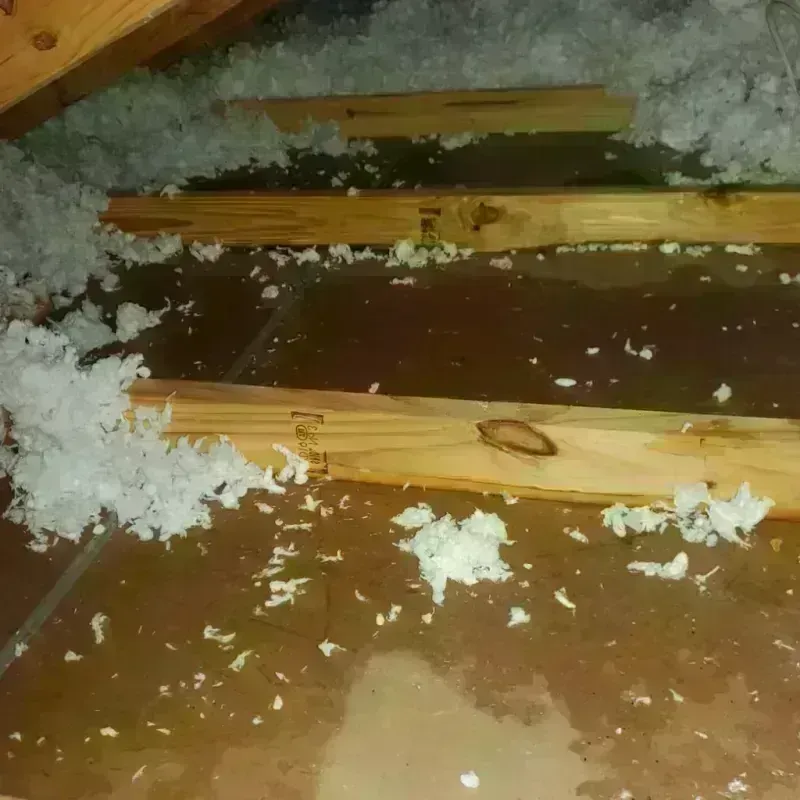 Attic Water Damage in Redwater, TX